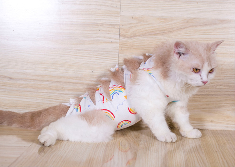 猫咪安抚衣详情页_10.jpg