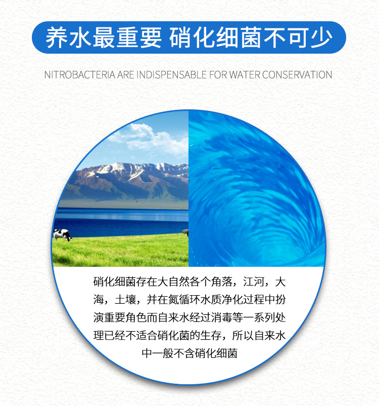 硝化细菌胶囊1_08