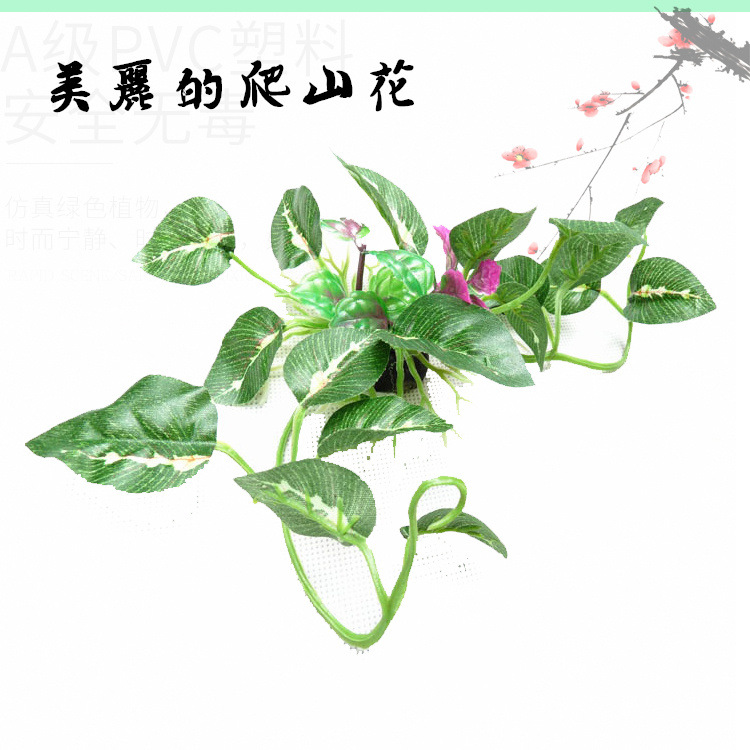 2656800804_1103982721