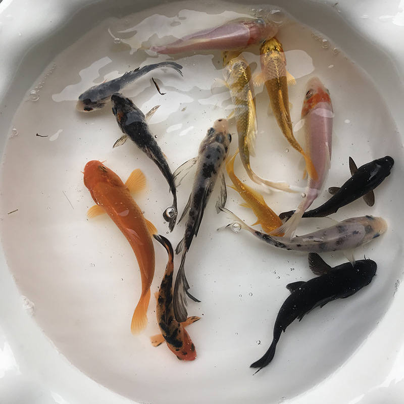 9deb54e5d345fba77a747e448780f8