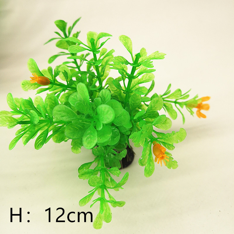 IMG_20190701_110312_副本