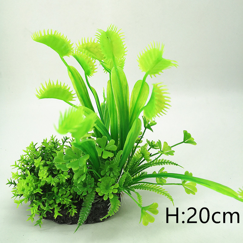 IMG_20190701_161734_副本