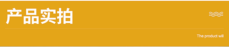 金色宠物衣服策划_06