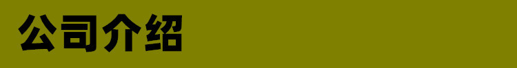 公司介绍