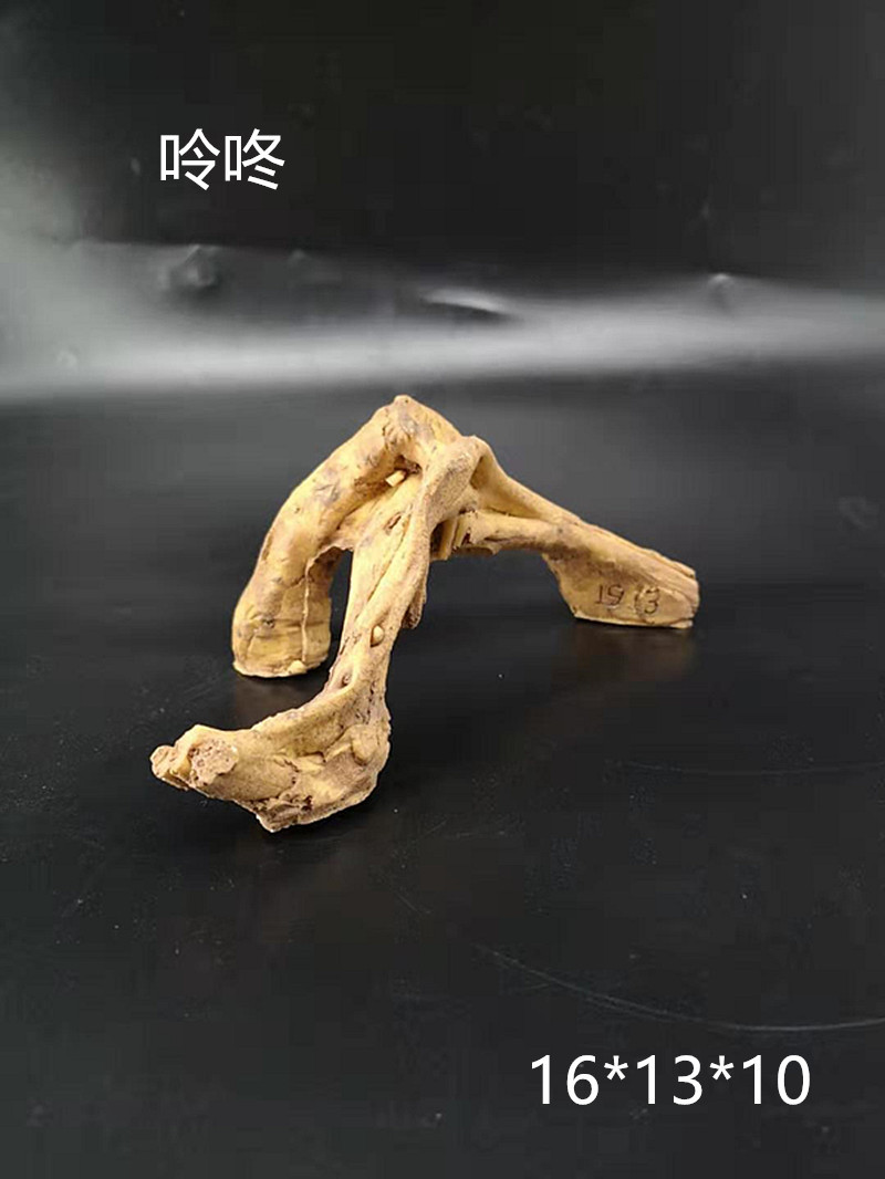 817779706247078870_副本