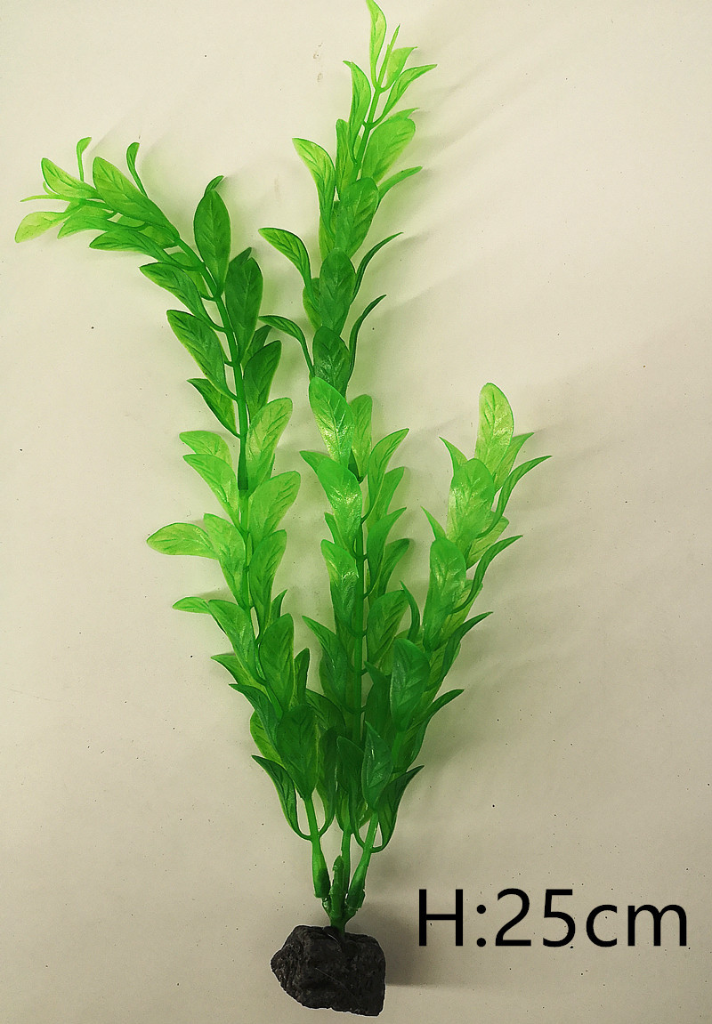 IMG_20190701_104647_副本