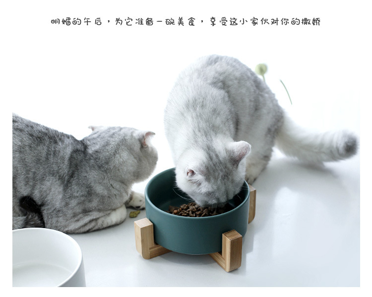 哑光木架猫碗_10.jpg