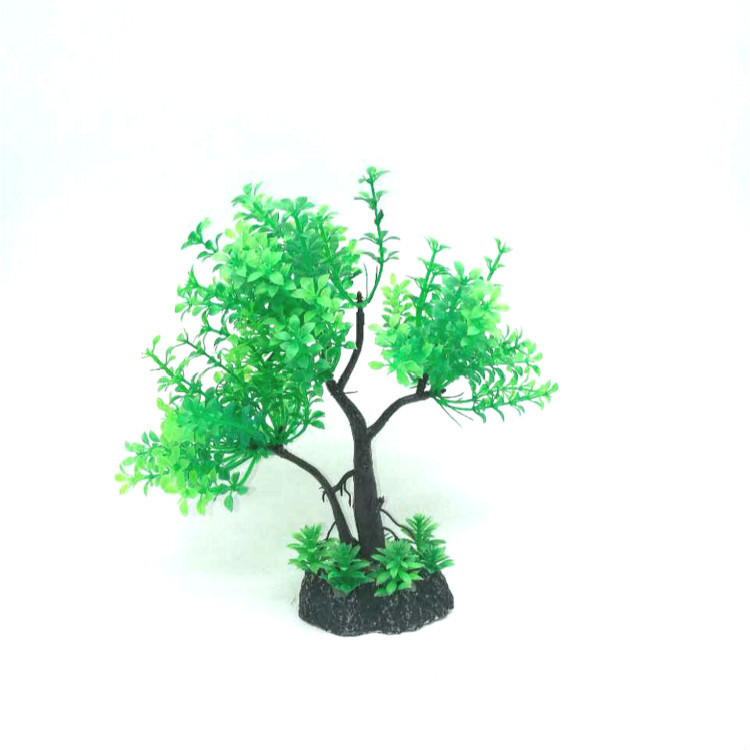 4648056942_584098406