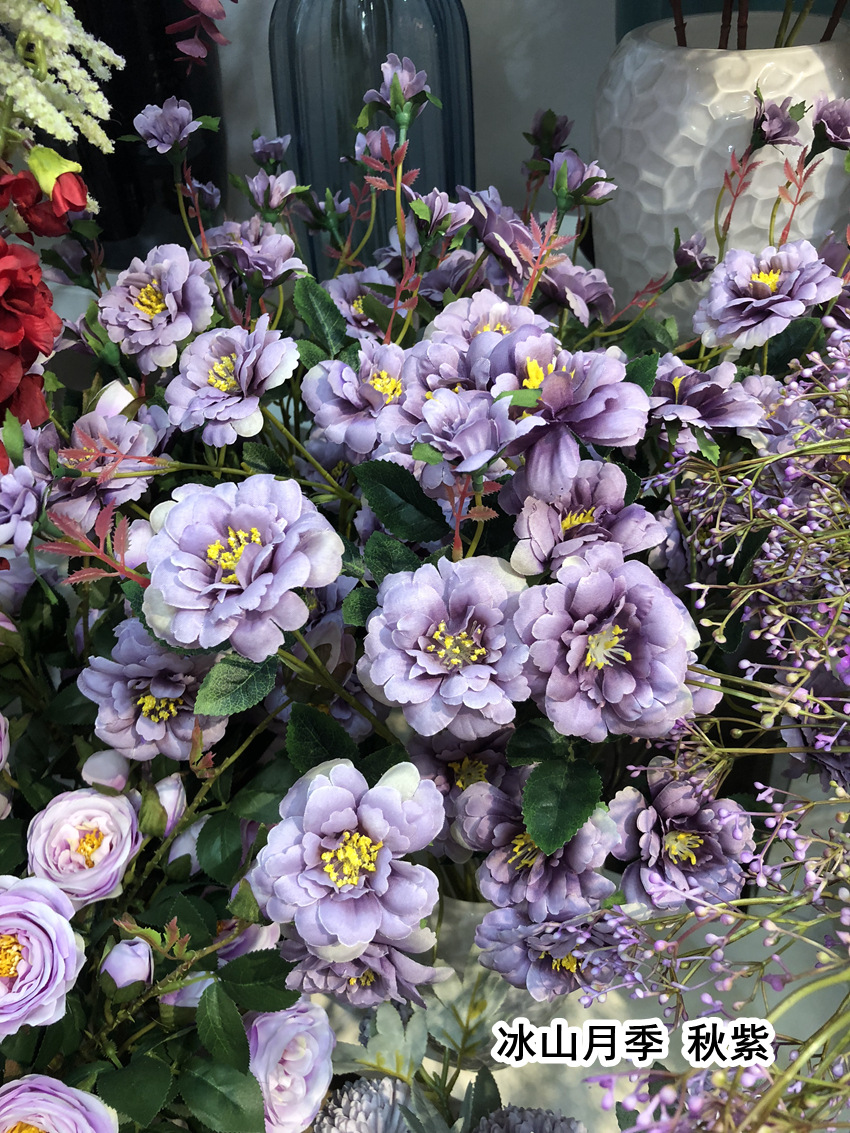 微信图片_20190519171253