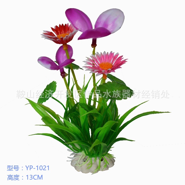 O1CN01x8v2eg1KVtvyOj1pK_!!1035