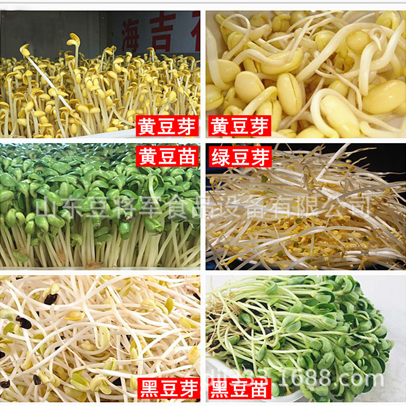 TB2kL21lndYBeNkSmLyXXXfnVXa_!!