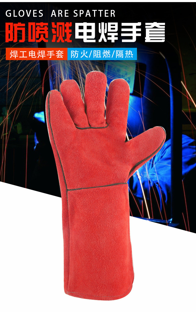 12599168382_881126482