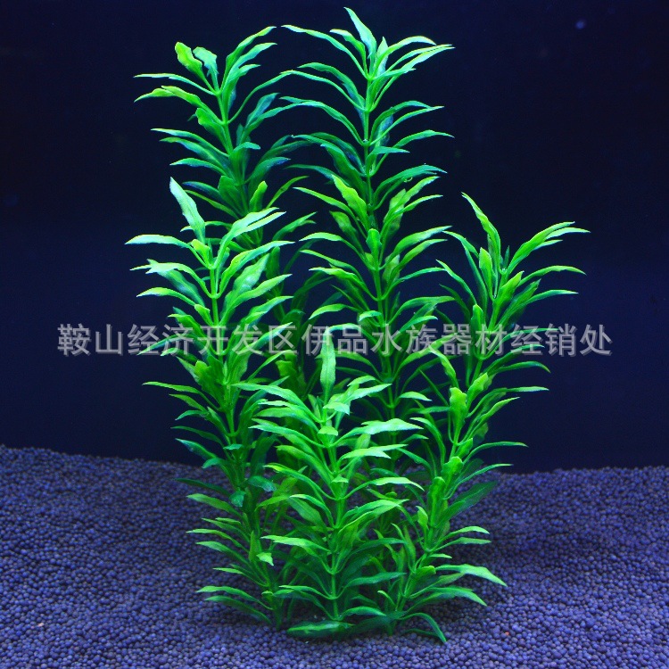 O1CN01J8yw5d1KVtxa2AWRv_!!1035