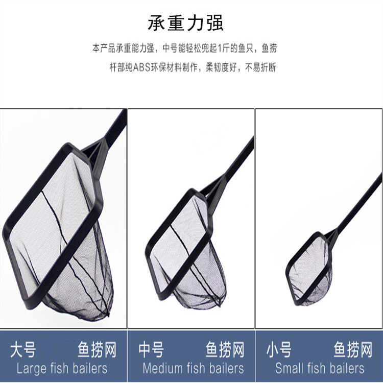 3833618571_1870052274