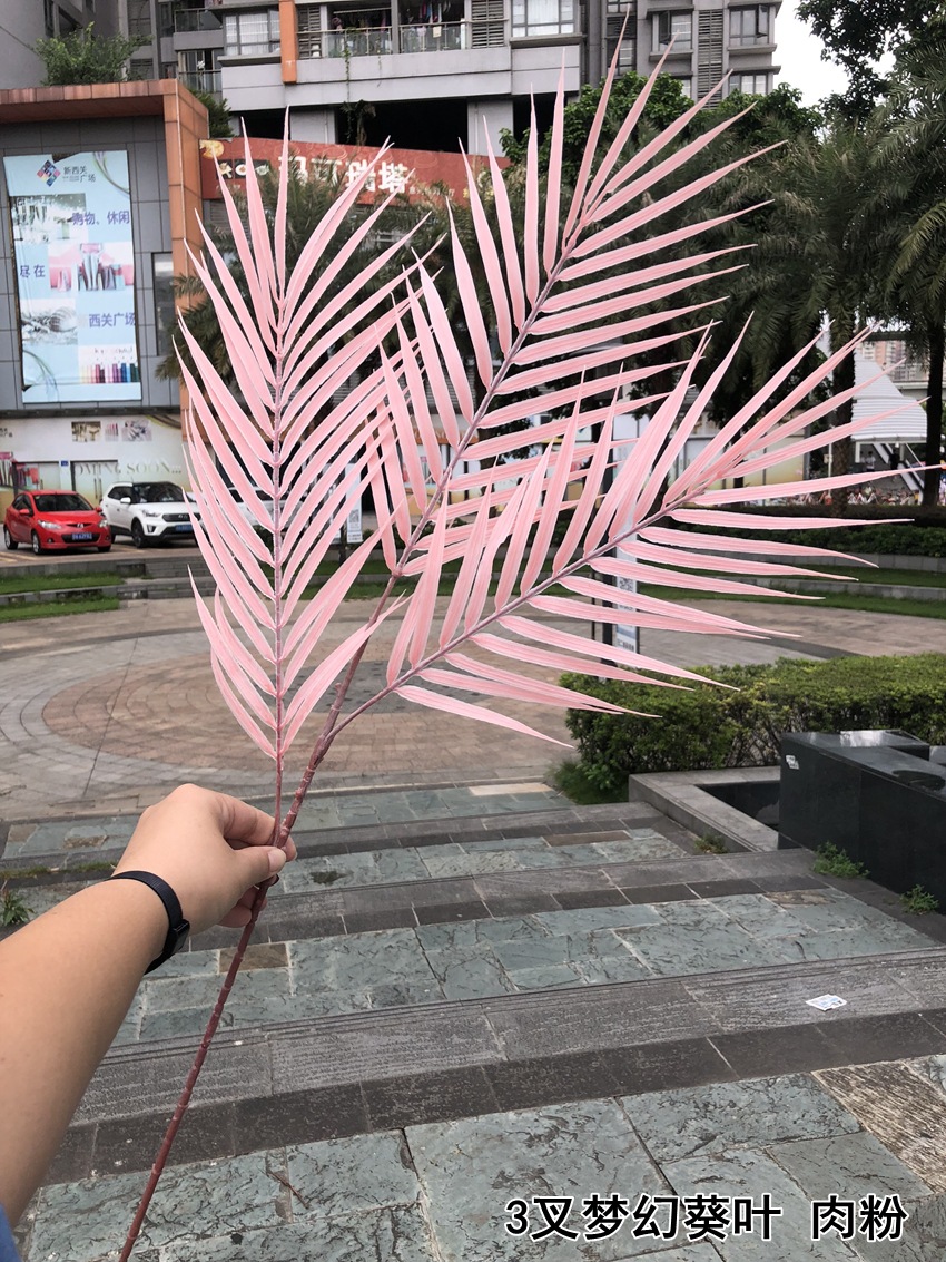 微信图片_20190906141558