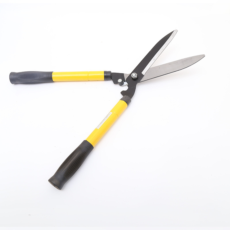 3759295705_1578675911