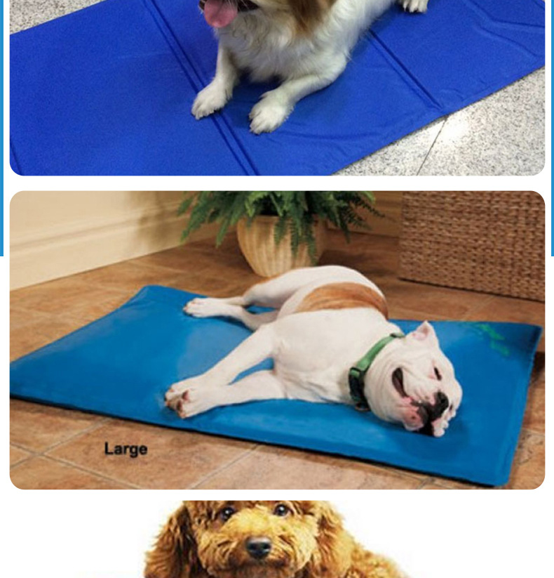 13a868552d75531c18cde15cde59d9