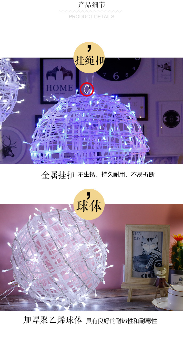 藤球2_05 (2)