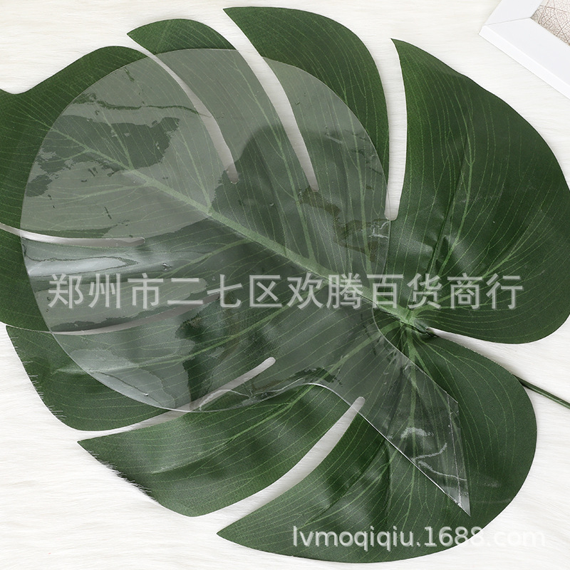主图18寸波波球2.jpg