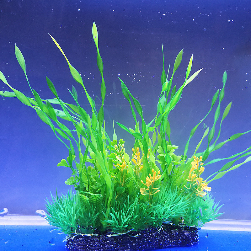 IMG_20190629_162757_副本