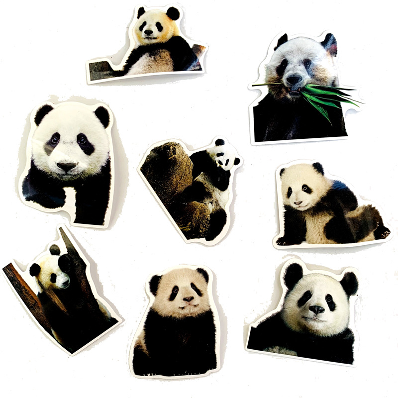 QQ图片20191203143038