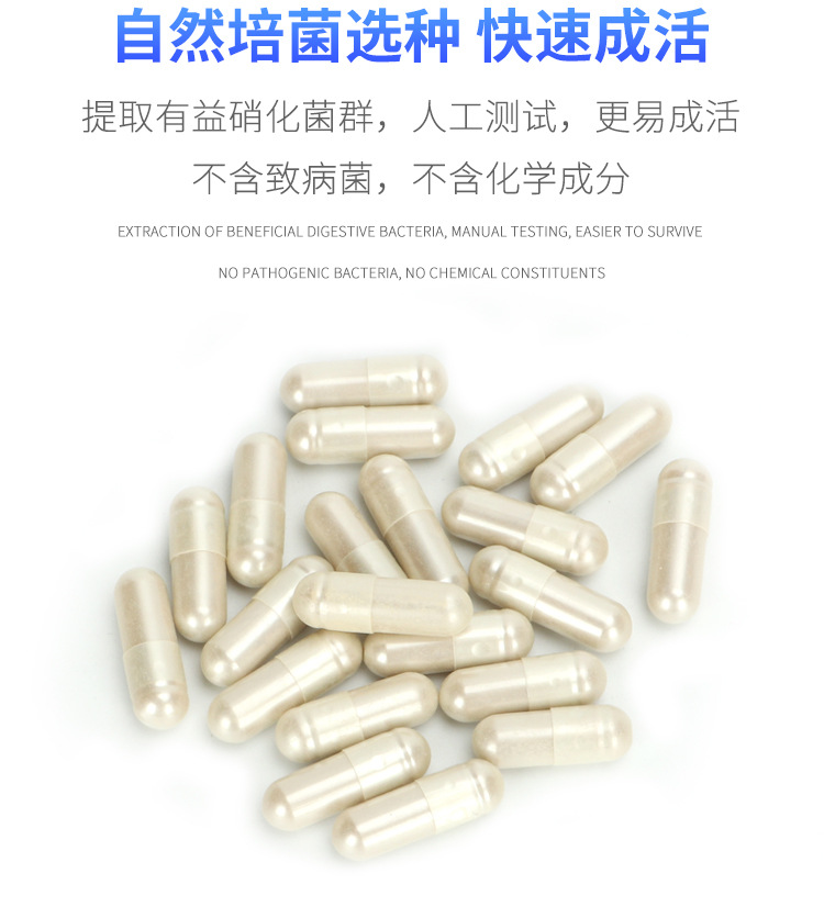 硝化细菌胶囊1_13