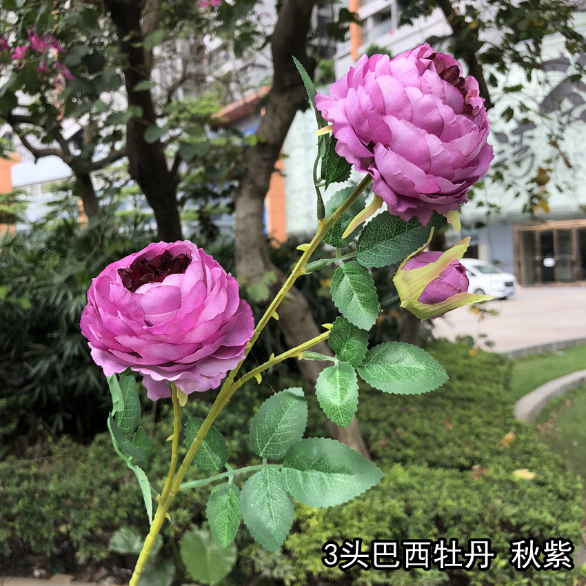 微信图片_20190519133012