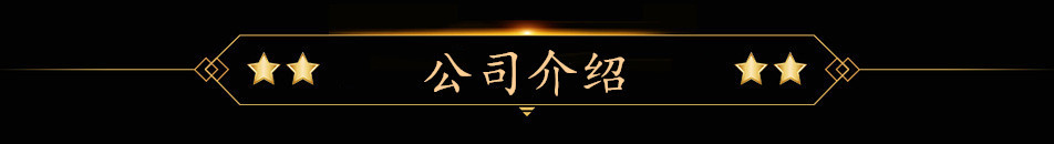 公司介绍