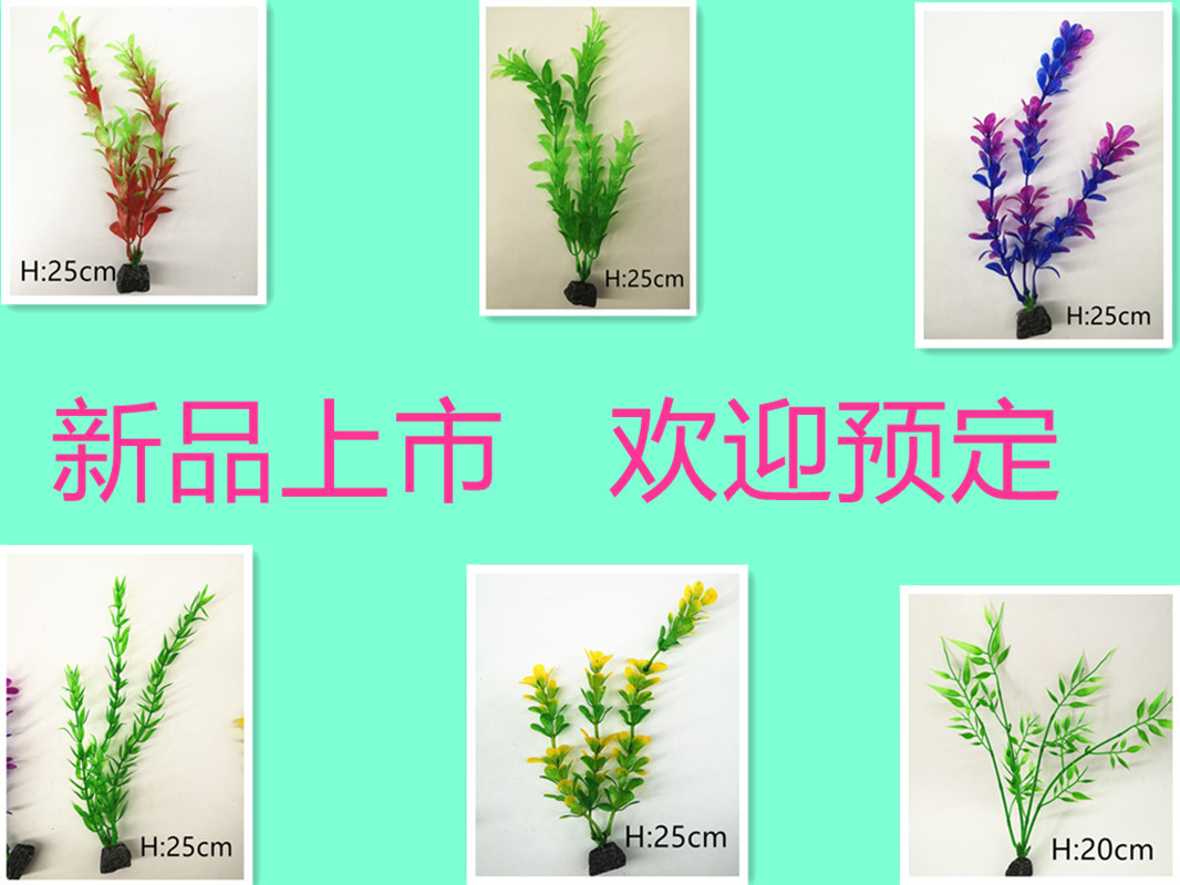 IMG_20190701_105242_副本