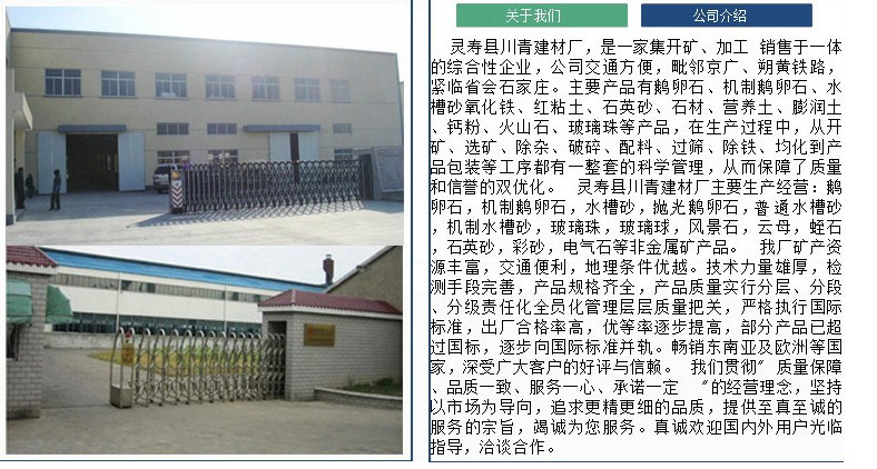 公司介绍