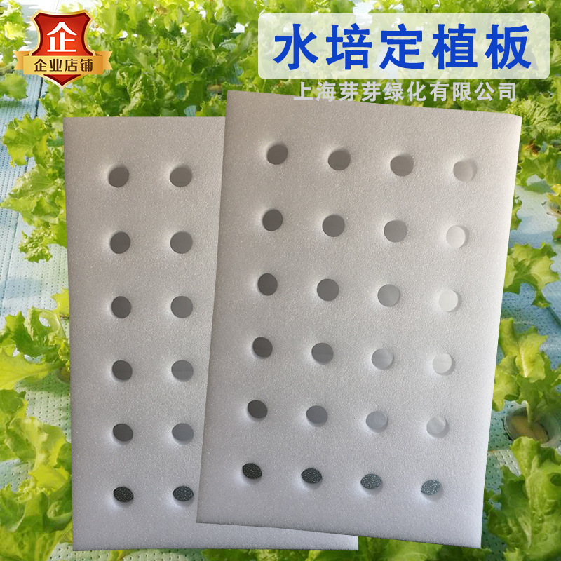 O1CN017YcGKo1KoDmSdSJgm_!!6666