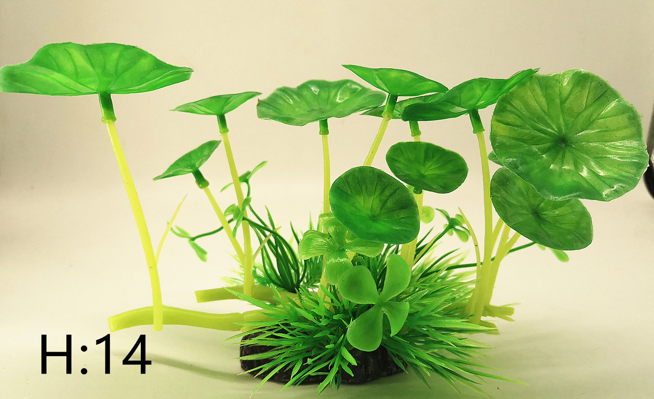 IMG_20190701_161607_副本