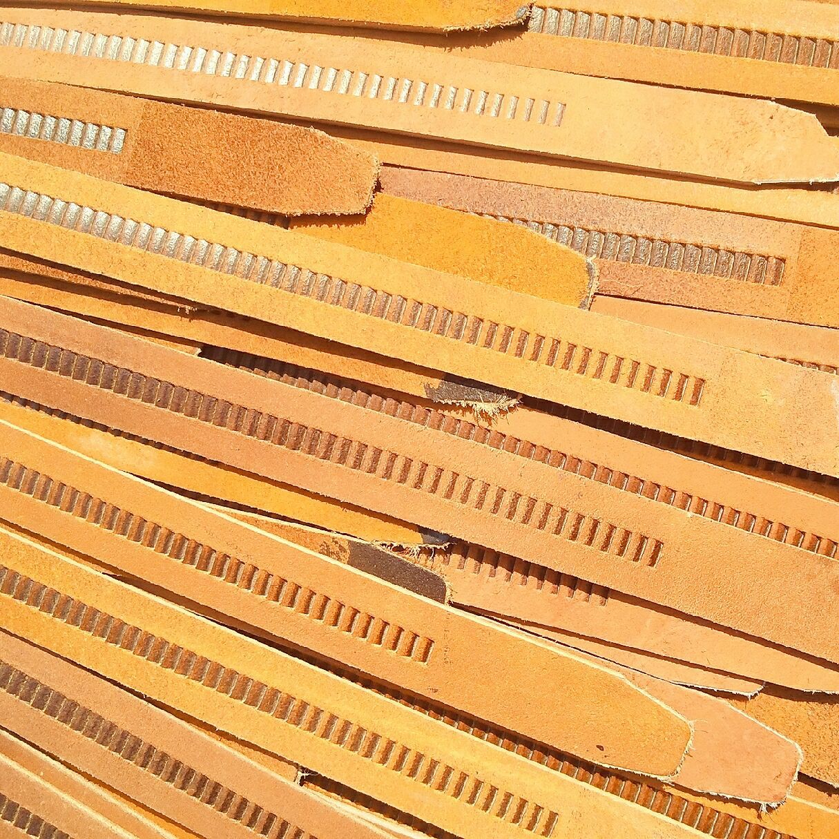 QQ图片20190310194227