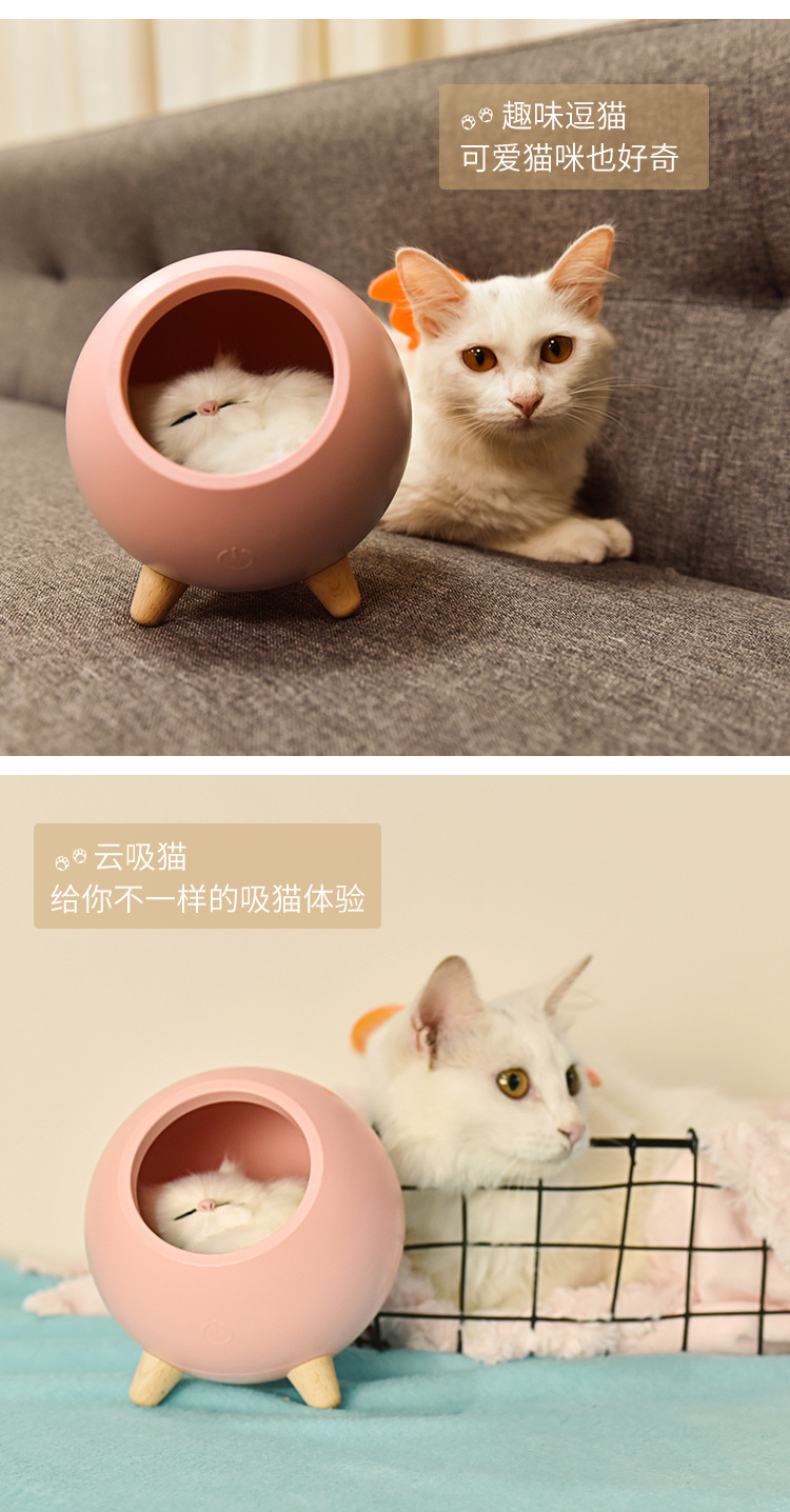 详情 (9).jpg