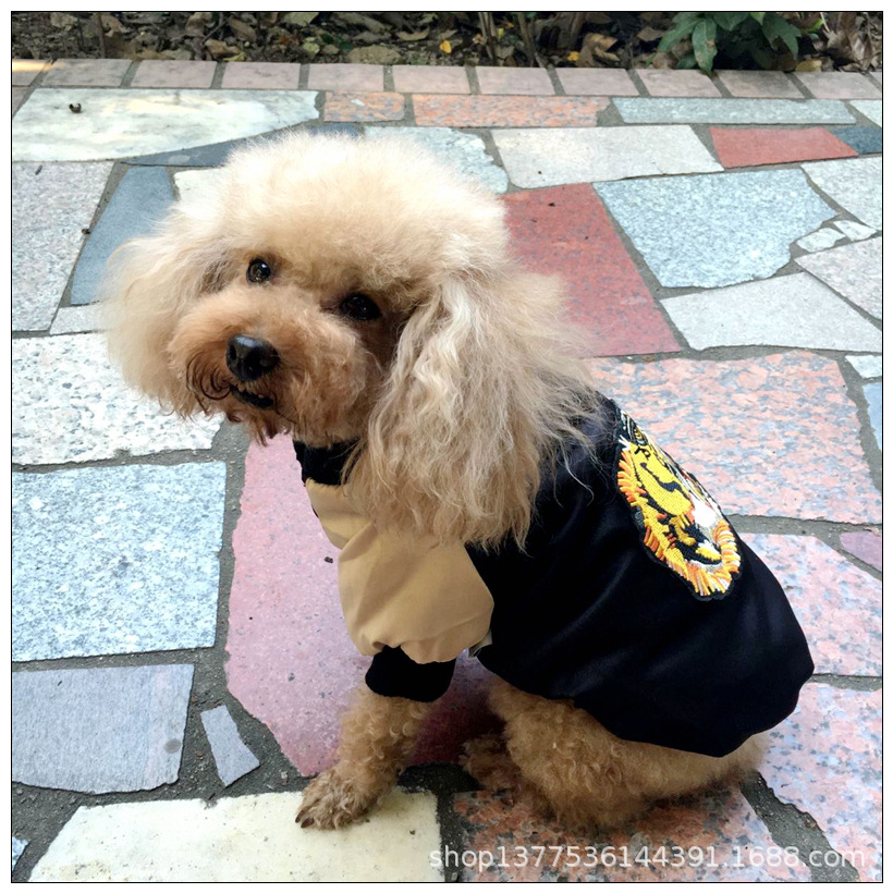 A1C05C432E53508532B0F3F3CB0452