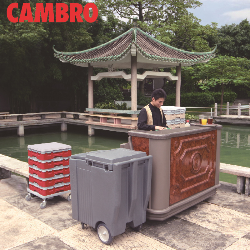 Bar Ice Caddy  China