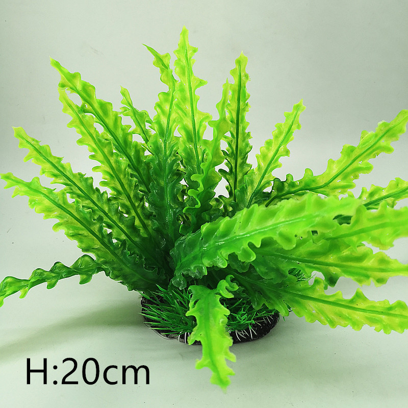 IMG_20190701_161705_副本