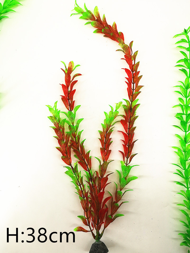 IMG_20190701_103721_副本