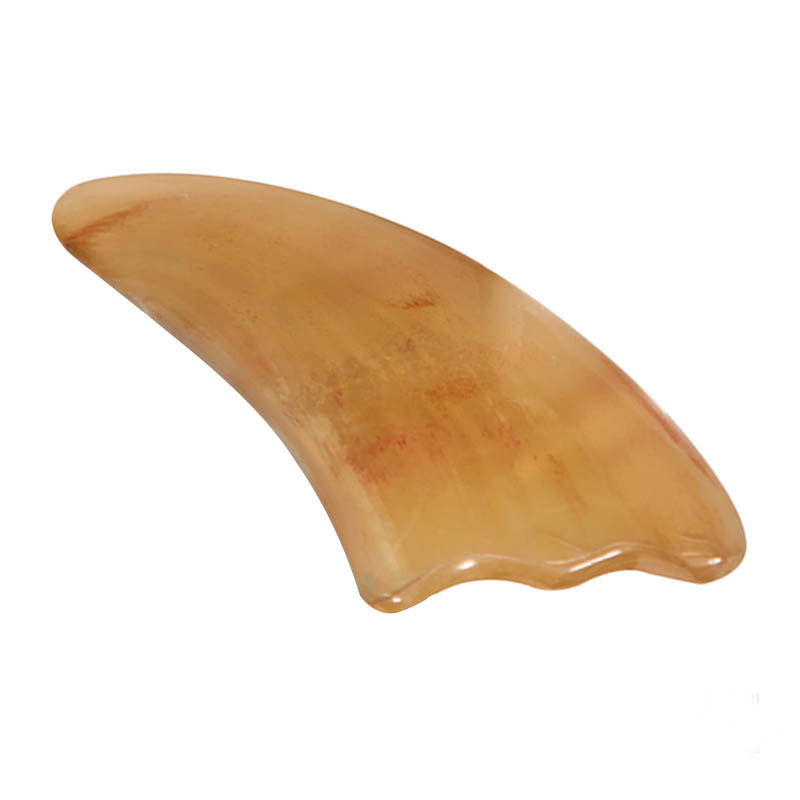 2345_image_file_copy_36