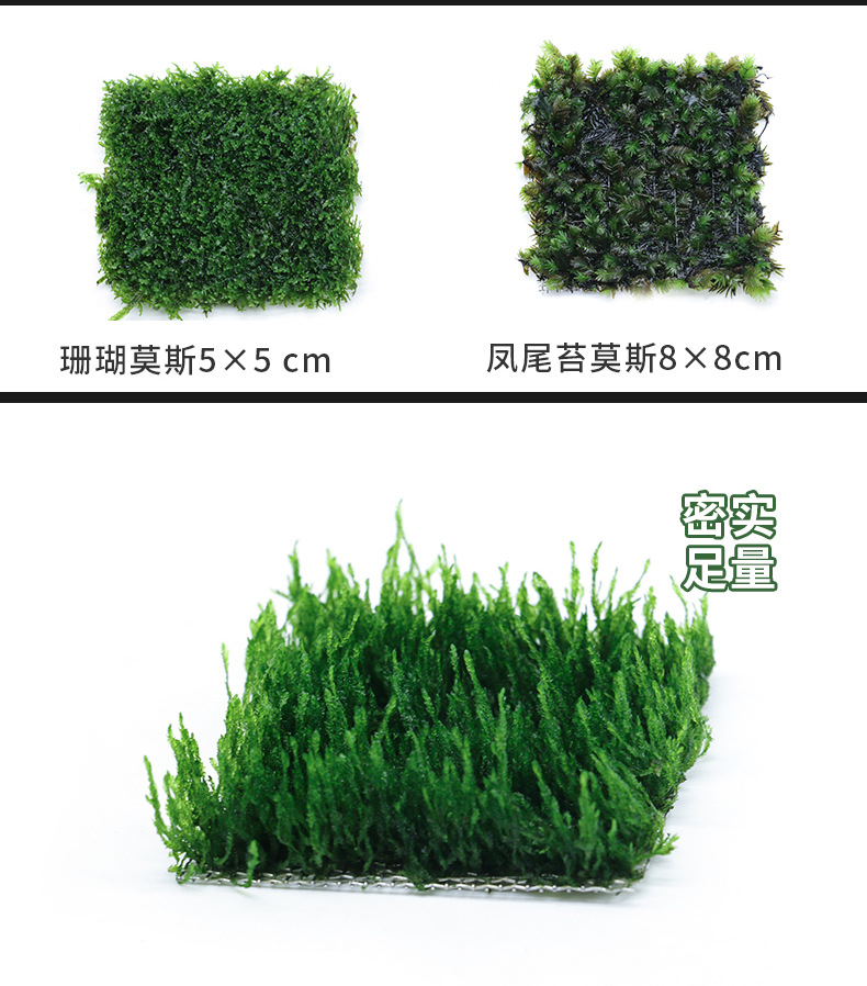 莫斯水草合集_02