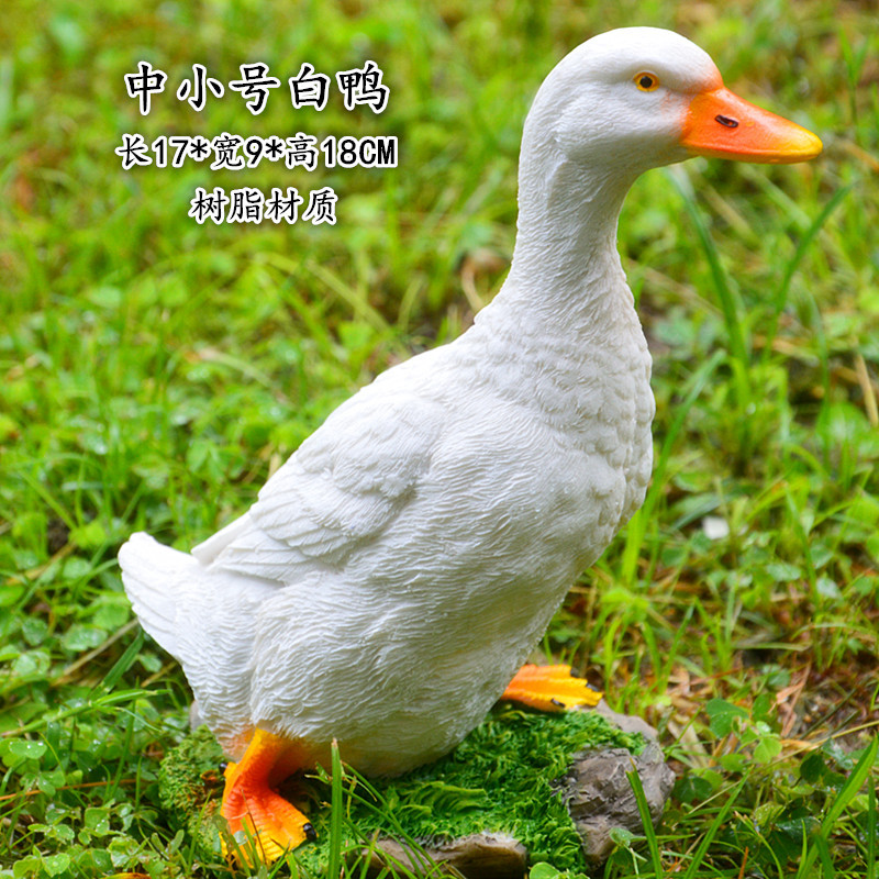 白色中小鸭子.jpg