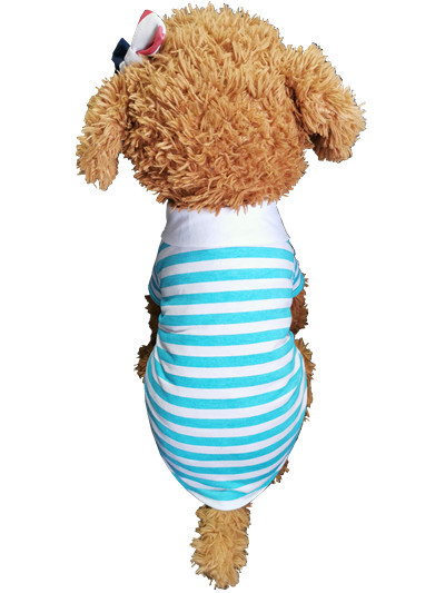 QQ图片20190527151445_副本