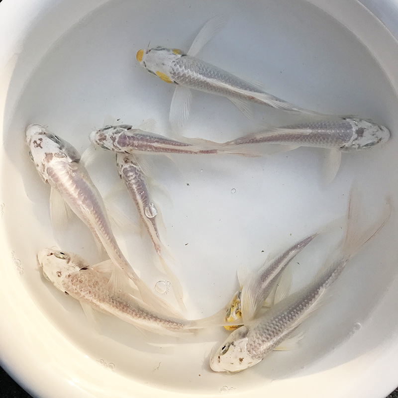 微信图片_20191103160718