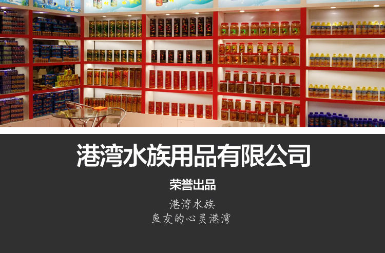 微信图片_20190628234036