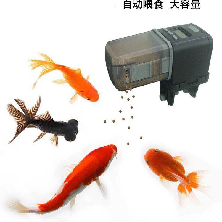 微信图片_20190513180044_副本