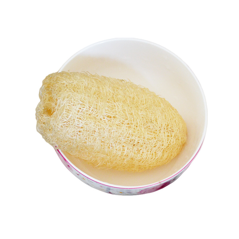 小丝瓜-8.jpg