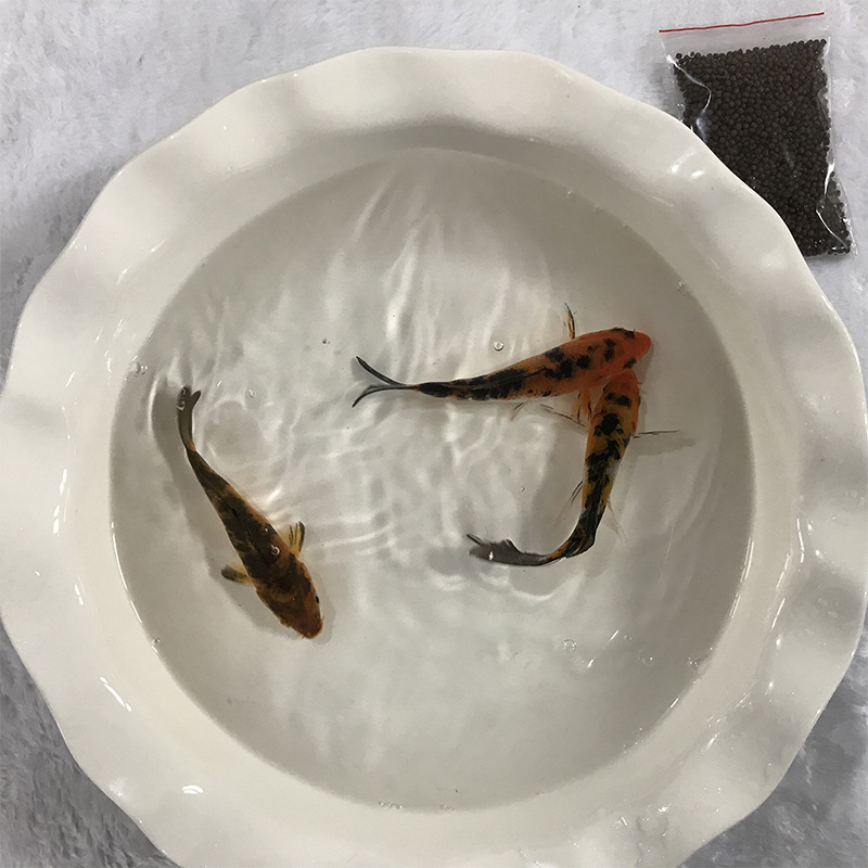 649c2d3a579db11c2bef88940b6826