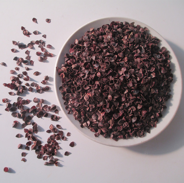 10678821948_335744573