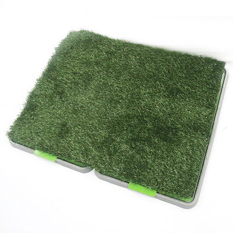 T2_gmCXlRbXXXXXXXX_!!106642314