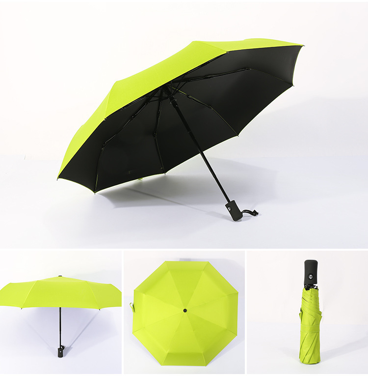 10966778521_892876578